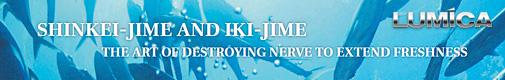 SHINKEI-JIME AND IKI-JIME - THE ART OF DESTROYING NERVE TO EXTEND FRESHNESS - LUMICA