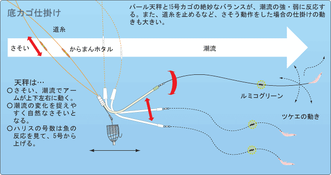 マダイを極める - ケミホタルクラブ - 九州釣り情報