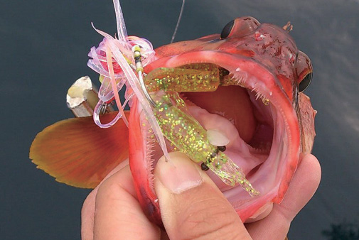LUMICA Puni-Ika Realistic Baby Squid Lure