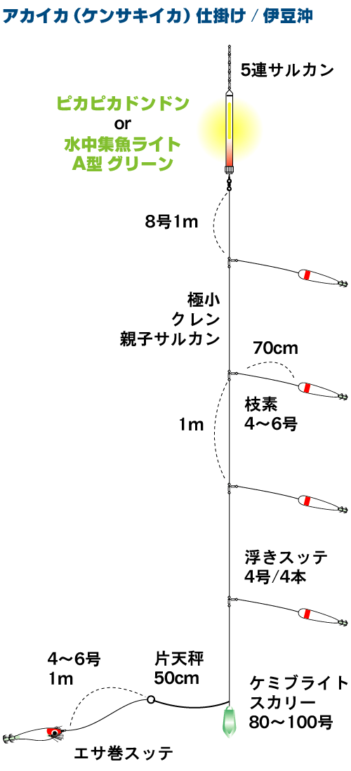 イカを極める ケミホタルクラブ アーカイブス 九州釣り情報