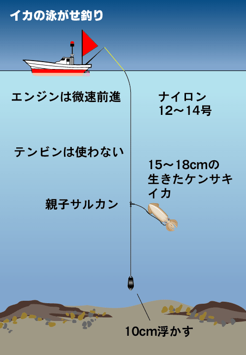 マダイを極める ケミホタルクラブ アーカイブス 九州釣り情報