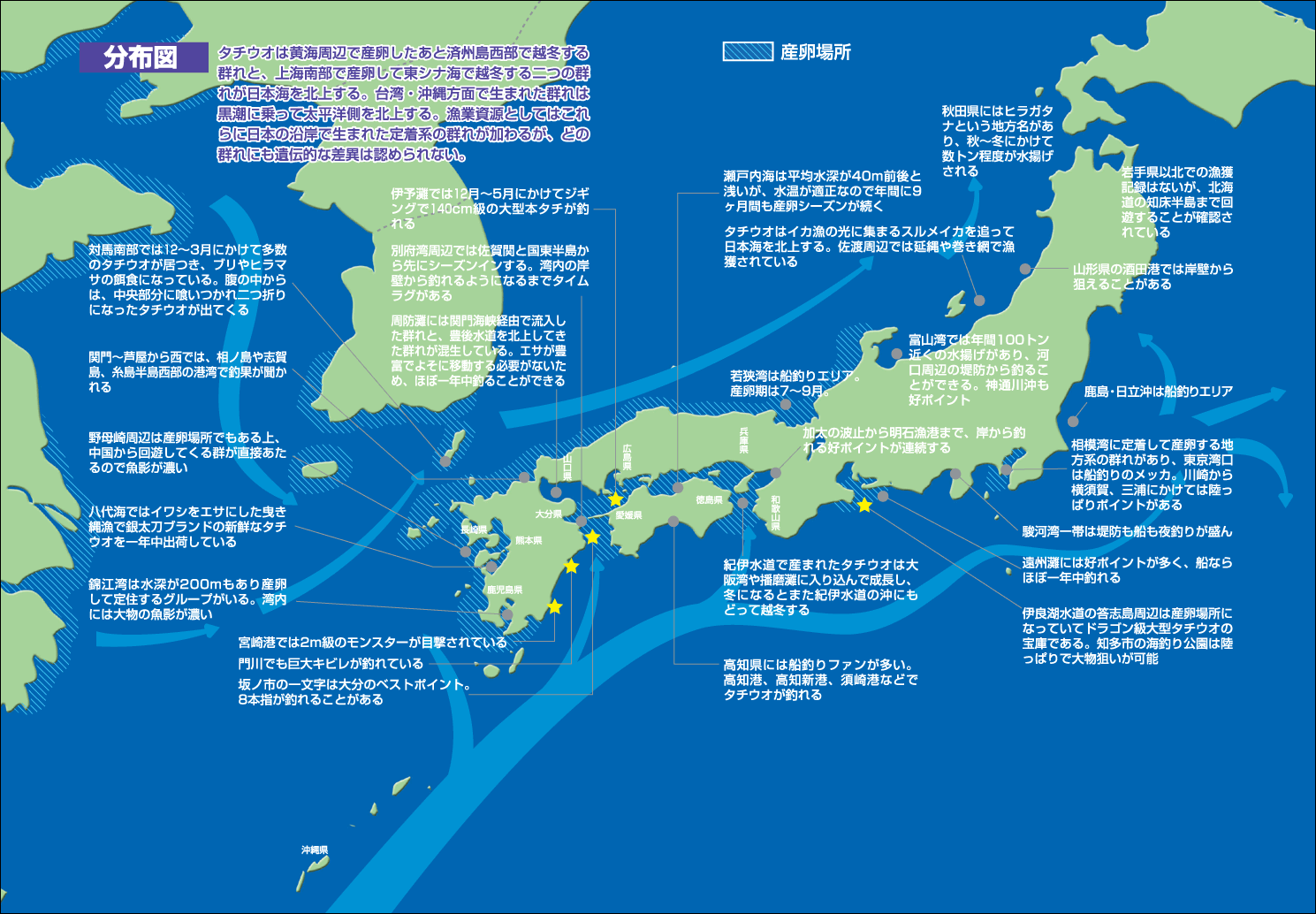 太刀魚 九州釣り情報