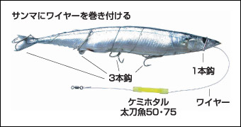 太刀魚 九州釣り情報